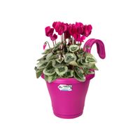 elho corsica easy hanger single Buiten Plantenpot Ophanging Polypropyleen (PP) Kers - thumbnail