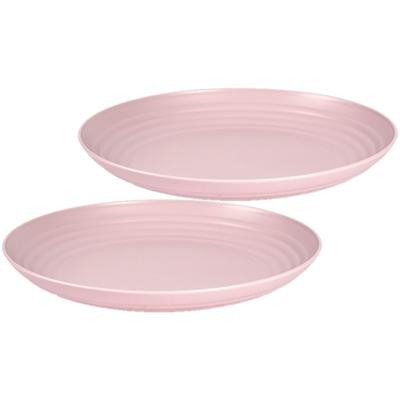 PlasticForte Bord - Set van 2x stuks - D25 cm - roze - kunststof - rond - camping bord - dinerbord