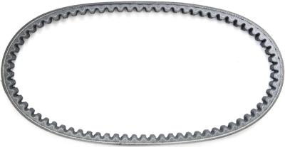 MALOSSI V-belts verst 19x745mm