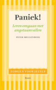 Paniek! - Peter Meulenbeek, Bas van Heycop ten Ham - ebook