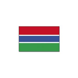 Vlag Gambia 90 x 150 cm feestartikelen