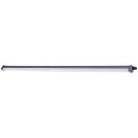 Philips LED ProjectLine LED-lamp voor vochtige ruimte LED LED 54 W Koudwit Zwart