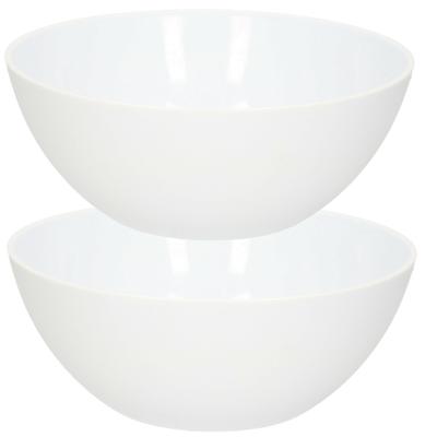 PlasticForte Dessert en serveer schaaltjes / kommetjes - 2x stuks - 950 ml - wit - kunststof - 17 x
