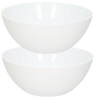 PlasticForte Dessert en serveer schaaltjes / kommetjes - 2x stuks - 950 ml - wit - kunststof - 17 x