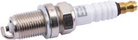 Champion End candle rc9yc4 champio rc9yc4