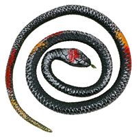 Chaks nep slang 77 cm - zwart/rood - stretchy mamba - griezel/horror thema decoratie dieren   -