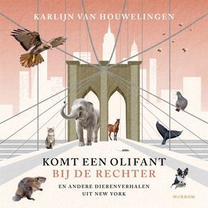 Komt een olifant bij de rechter