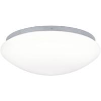 Paulmann Leonis 70980 LED-buitenlamp (wand) LED 10 W Wit