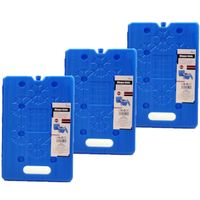 Set van 4x stuks koelelementen 20 x 2 x 30 cm blauw