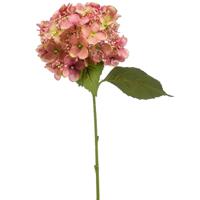 Emerald Kunstbloem hortensia tak - 50 cm - oud roze - kunst zijdebloem - Hydrangea - decoratie bloem   -