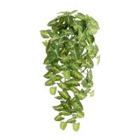 Syngonium Arrow Kunst Hangplant 60cm