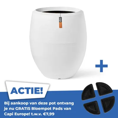 Vaas Elegant Deluxe Arc Granite Deluxe 63x75 Wit