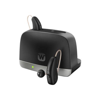 Widex Standard Charger Allure RIC R D