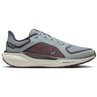Nike Pegasus 41 GTX Heren