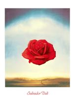Kunstdruk Salvador Dali - Rose meditative 60x80cm