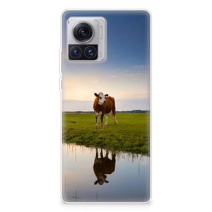 Motorola Moto X30 Pro TPU Hoesje Koe