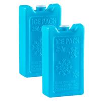 Plasticforte Koelelementen - 8x stuks - 250 grams - 13 x 7.5 cm - blauw - kunststof