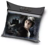 Harry Potter sierkussen 40X40cm - thumbnail