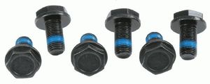 Sachs Schroevenset 3096005000
