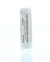 Homeoden Heel Rhus toxicodendron D30 6 Gram