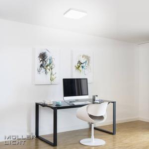 Müller-Licht Milex 20500084 LED-plafondlamp voor badkamer 24 W Warmwit Wit