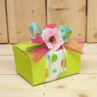 Bonbon doosjes - Chocolade doosje - Limoen Laag Compleet Color dot - 24 stuks