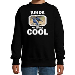 Sweater birds are serious cool zwart kinderen - vogels/ raaf trui