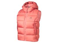 CRIVIT Dames thermo-bodywarmer (L (44/46), Rood)