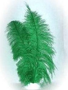 Spadonis groen