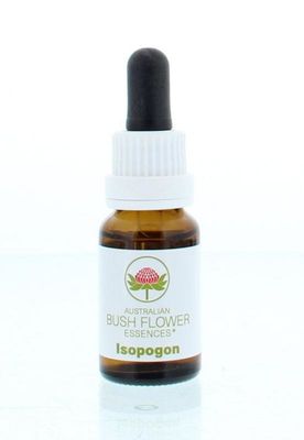 Isopogon