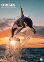 Orca A3 Kalender 2026