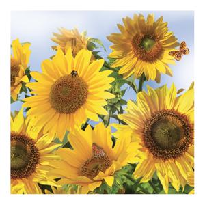 Daisy lunch/diner servetten - 20x st - 33 x 33 cm - zonnebloemen - feestservetten