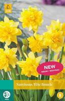 Narcissus Tete Boucle 4 bollen - Jub
