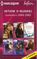 Intiem e-bundel nummers 2060-2065 - Maya Banks, Fiona Brand, Sherryl Woods, Leanne Banks, Kimberly Lang, Yvonne Lindsay - ebook - thumbnail