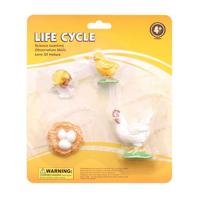 Cycplus Levenscyclus haan speelfiguren set Cycplus Levenscyclus haan speelfiguren set
