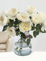 10 witte David Austin rozen - Leonora