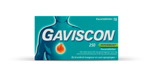 Gaviscon 250 Pepermunt Kauwtabletten