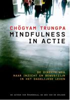 Mindfulness in actie (Paperback)