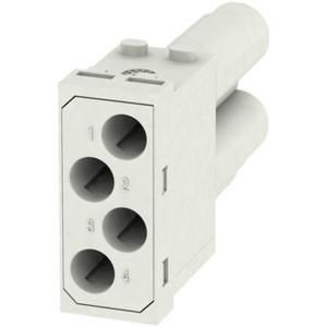 RockStar® MODU plug, frame HDC MF 10B AC Weidmüller Inhoud: 1 stuk(s)