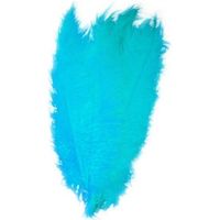 Turquoise blauwe decoratieveren/vogelveren 50 cm - thumbnail