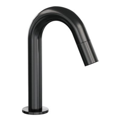 BRAUER Stripe Fonteinkraan - opbouw - gebogen uitloop - gunmetal geborsteld PVD 5-GM-464