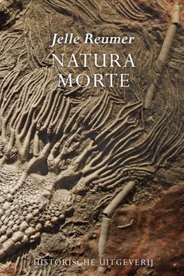 Natura morte (Paperback)