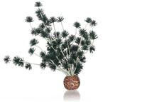 BiOrb Bonsai zwart BiOrb Bonsai zwart
