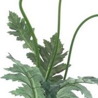 Poppy spray Casper orange 93 cm kunstbloem Erutan Avon - Erutan avon