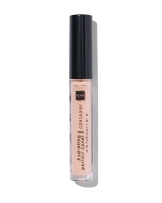 HEMA Hydrating Perfect Concealer 01 Beige (beige)