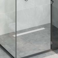 2 in 1 Doucheafvoer Zilver 70 cm Roestvrij staal 304