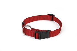 Beeztees Halsband Hond - Rood - Nylon - 35-55 cm x 20 mm