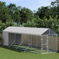 Hondenkennel met dak 2x10x2,5 m gegalvaniseerd staal zilver