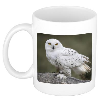 Dieren foto koffiemok sneeuwuil - uilen - beker - wit - 300 ml