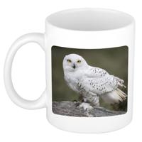 Dieren foto koffiemok sneeuwuil - uilen - beker - wit - 300 ml